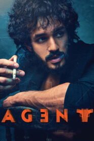Agent Af Somali